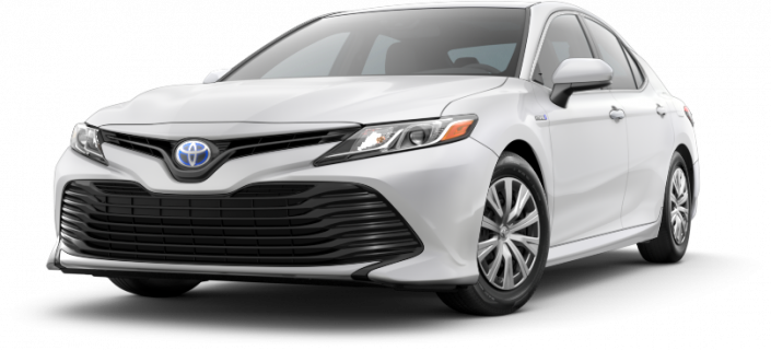 2019 Camry Hybrid